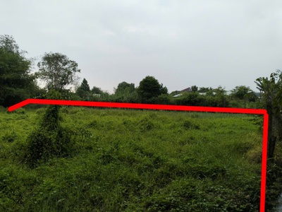 Chính chủ bán đất diện tích 2961m2 giá bán 8 tỷ, tỉnh lộ 15, củ chi, tp. hồ chí minh 3
