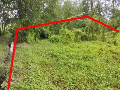 Chính chủ bán đất diện tích 2961m2 giá bán 8 tỷ, tỉnh lộ 15, củ chi, tp. hồ chí minh 1