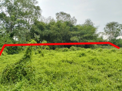 Chính chủ bán đất diện tích 2961m2 giá bán 8 tỷ, tỉnh lộ 15, củ chi, tp. hồ chí minh 2