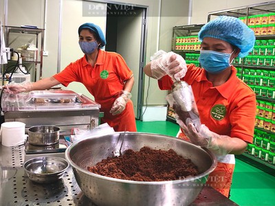 Mô hình sản xuất mắm tép chưng thịt: Hương vị Truyền thống kết hợp Công nghệ hiện đại 0