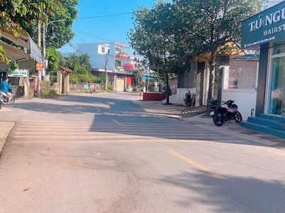 Chính chủ cần bán 67m thái lai, minh trí - đường rộng gần khu sân golf và hồ đồng đò 0