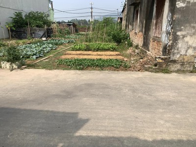Chính chủ gửi bán 2 mảnh đất 54m2 và 51m2 quảng hội, quang tiến, sóc sơn trục chính kinh doanh 1