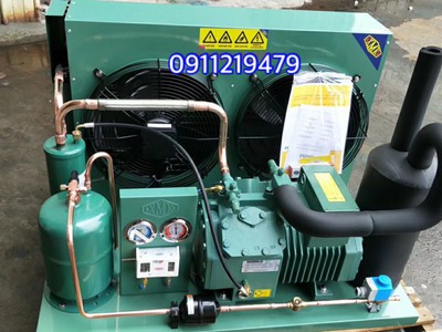 Cung cấp, lắp đặt cụm máy nén kho lạnh Bitzer 5 hp 4DES-5Y-40S tại Bình Dương 0