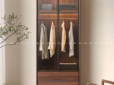 Tủ Quần Áo Gỗ Óc Chó Tự Nhiên Phối Kính Hiện Đại 2