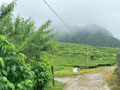 Đất nền mộc châu cạnh quốc lộ 43 giá vài trăm ngàn/m2 cho các bác thích đầu tư. 1