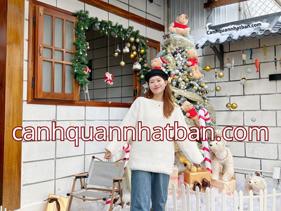 Cách trang trí noel với ngói nhựa âm dương Nhật Bản 3