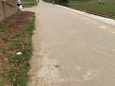 Chính chủ cần bán đất nền Sen Phương - Phúc Thọ full thổ cư lô góc 360m2 1