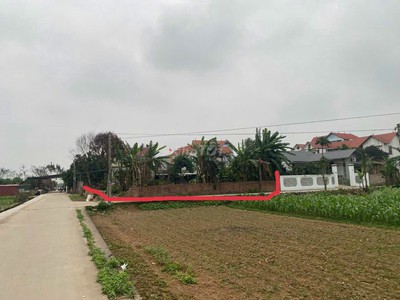 Chính chủ cần bán đất nền Sen Phương - Phúc Thọ full thổ cư lô góc 360m2 0