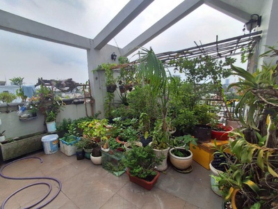 Mặt tiền đường xe hơi thông, 41 chuyên dùng chính, phú mỹ q7, 5 tầng 135.5m2 10 phòng kinh doanh 21 4