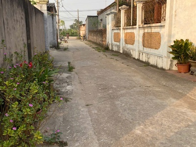Bán đất đình trung-xuân nộn-đông anh, ô tô vào đất, ngõ nông 0