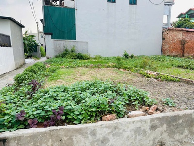 Bán 48,9m2 đất, full thổ cư, ngõ ô tô, thôn phù trì, xã kim hoa, mê linh, hà nội 0