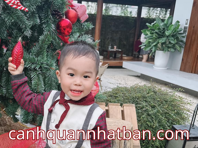 Doanh nghiệp bùng nổ doanh số cùng ngói nhựa âm dương Nhật Bản với ưu đãi khủng cuối năm 1