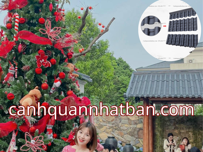 Doanh nghiệp bùng nổ doanh số cùng ngói nhựa âm dương Nhật Bản với ưu đãi khủng cuối năm 0