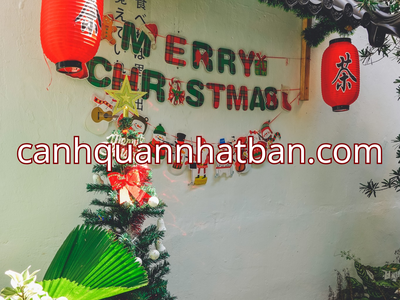 Doanh nghiệp bùng nổ doanh số cùng ngói nhựa âm dương Nhật Bản với ưu đãi khủng cuối năm 8