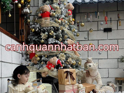 Doanh nghiệp bùng nổ doanh số cùng ngói nhựa âm dương Nhật Bản với ưu đãi khủng cuối năm 6