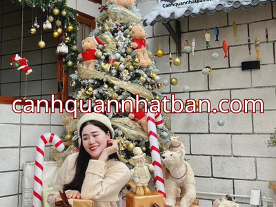 Doanh nghiệp bùng nổ doanh số cùng ngói nhựa âm dương Nhật Bản với ưu đãi khủng cuối năm 5