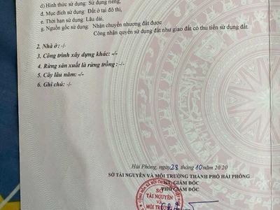 Bán lô đất ngõ 172 Cát Linh, Tràng Cát 41.86m2 giá 950 triệu 0
