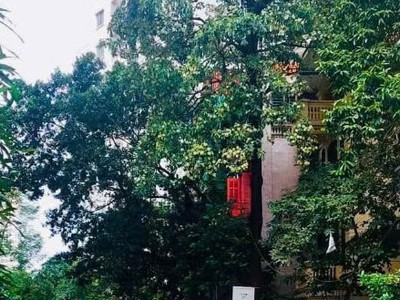 Bán nhà 2 mặt phố kđt bắc linh đàm, dt 80m2, 4tầng, kinh doanh, giá nhỉnh 20 tỷ 4