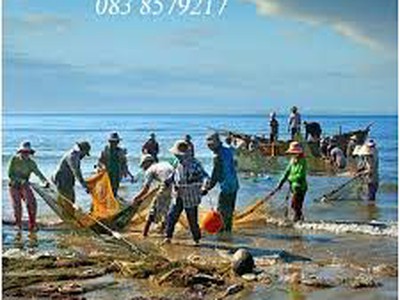 Lưới kéo cá chuyên nghiệp theo yêu cầu NGUYỄN ÚT 5