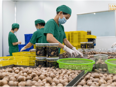 Quy trình sản xuất tỏi sấy khô: Giải pháp nâng cao giá trị nông sản 0