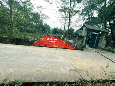 Lô góc 3 mặt tiền view hồ mà giá chỉ 6tr/m  huyện tam dương, tỉnh vĩnh phúc 0