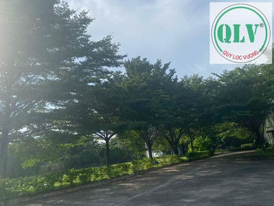 Bán 12ha  120.000m2  đất có 7,5ha  xưởng và công trình phụ ở Tân Uyên, Bình Dương 4