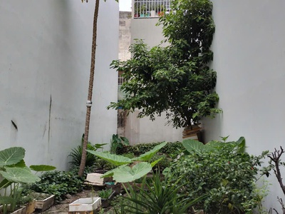 Sơn kỳ tân phú còn sót lại lô đất lọt khe cực đẹp hẻm 4m gần mạ tiền 60m2  nhỉnh 4 tỷ 1