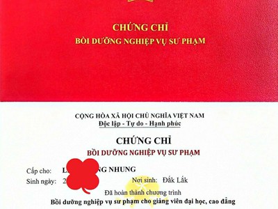 Chứng chỉ giảng viên đại học cao đẳng   cơ hội mở rộng nghề nghiệp 0