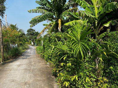 Bán gấp đất full thổ cư ngay trung tâm xã mỹ lệ, cách dt 826 chỉ 100m giá 2 tỉ còn thương lượng 1