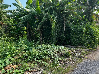 Bán gấp đất full thổ cư ngay trung tâm xã mỹ lệ, cách dt 826 chỉ 100m giá 2 tỉ còn thương lượng 3