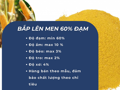 Bắp Lên Men 60 Đạm 0