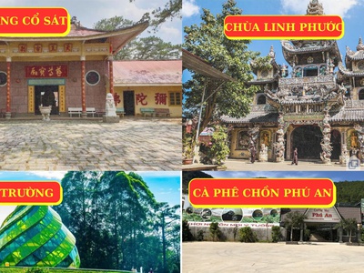 Khám phá Đà Lạt Tết 3 ngày 3 đêm cùng SGC Tourist 5