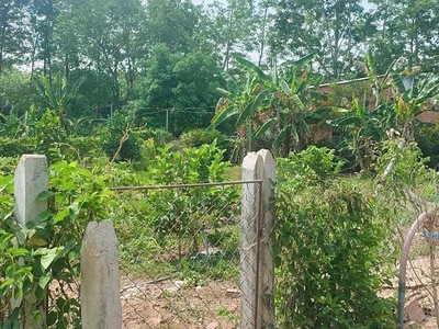 Chính chủ kẹt tiền không xoay kịp cần bán gấp miếng đất hơn 1000m2 0