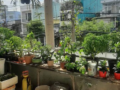 Chỉ 7.3 tỷ, căn góc mặt tiền, dt 72.5m2, phạm thế hiển, p4q 8-khu vực cực kỳ sầm uất 0