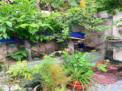 Bán nhà sổ hồng riêg thông đường Hồ Văn Tư, Quận Thủ Đức 2 tầng 3 pn 2 wc Chỉ có 30 tr/m2 195 m2 5