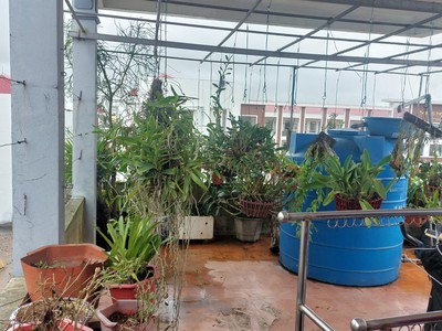Bán nhà 85m2, 3 tầng, ql39a, đông hưng, thái bình - 3.2 tỷ 0