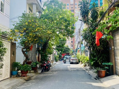 Bán nhà phường 10 tân bình, hẻm 7m trục ni sư huỳnh liên  5 8  2 lầu 4