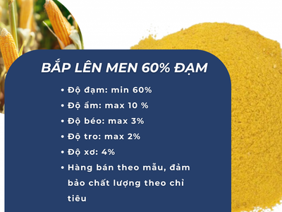 Bã Đậu Phộng 40 Đạm nmmm 0