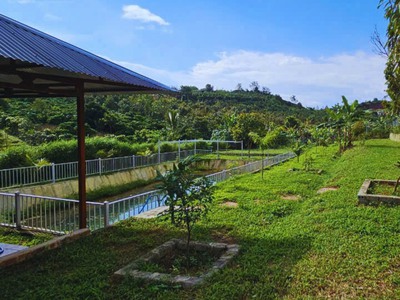 Bán Nhà Nghỉ Dưỡng Đambri, Bảo Lộc, Lâm Đồng 4