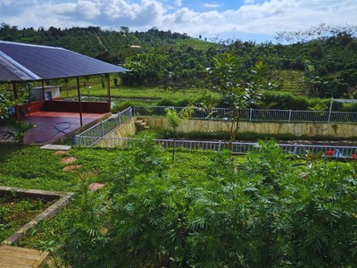 Bán Nhà Nghỉ Dưỡng Đambri, Bảo Lộc, Lâm Đồng 5