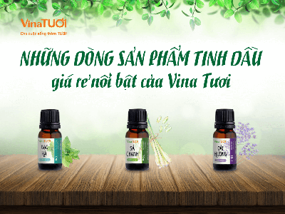 Tinh Dầu Giá Rẻ Chất Lượng Cao   Lựa Chọn Hoàn Hảo Cho Gia Đình Bạn 0