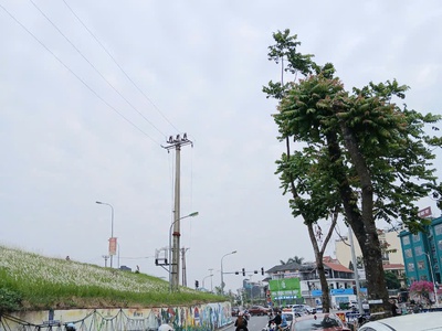 Cần bán gấp -  đát- ngọc thuỵ - long biên 50m.  thông số đep, ô tô vào đất, 20m ra đường lớn. gàn 2