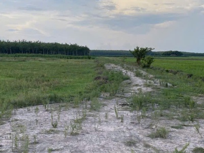 Sở hữu đất đẹp - giá tốt - vị trí tại : ấp suối ông đinh - xã trà vong - huyện tân biên - tỉnh tây 0