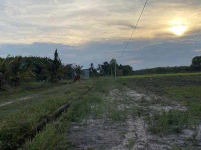 Sở hữu đất đẹp - giá tốt - vị trí tại : ấp suối ông đinh - xã trà vong - huyện tân biên - tỉnh tây 1