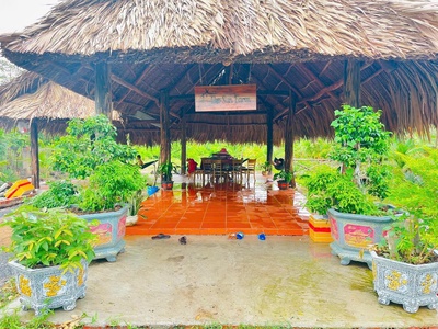 Chủ cần nhượng lại căn nhà vườn đủ cây ăn quả, gần khu du lịch Bò Cạp Vàng 0