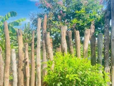 Chủ cần nhượng lại căn nhà vườn đủ cây ăn quả, gần khu du lịch Bò Cạp Vàng 2