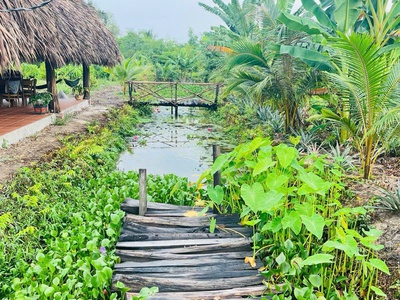 Chủ cần nhượng lại căn nhà vườn đủ cây ăn quả, gần khu du lịch Bò Cạp Vàng 4