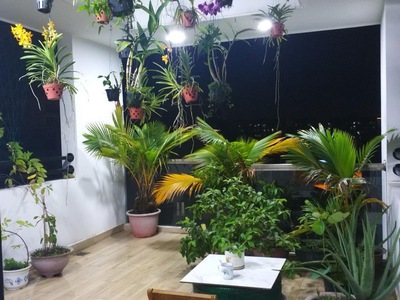 Nhà đẹp đón tết,hxh, lâm hoành, an lạc, bình tân. dt 58m2 x 5 tầng. giá 7.67 tỷ tl. 4