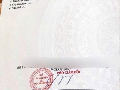 Chính chủ bán 1.000m2 đất đường nhựa lớn - đối diện khu công nghiệp huyện đất đỏ 2