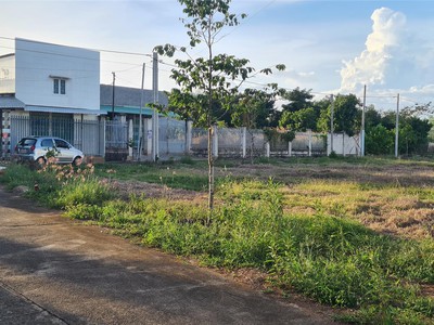 Bán 306m2 lô góc 1 sẹc 25m phạm hùng ngay ql55 phạm hùng tt đất đỏ,bà rịa vũng tàu 0